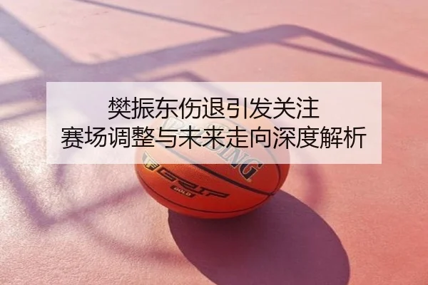 樊振东伤退引发关注 赛场调整与未来走向深度解析