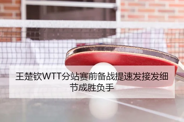 王楚钦WTT分站赛前备战提速发接发细节成胜负手