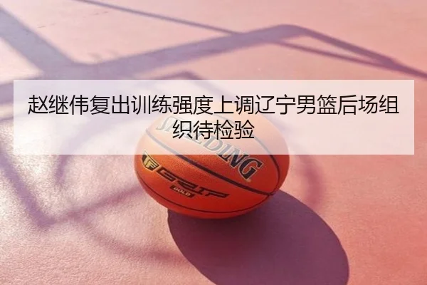 赵继伟复出训练强度上调辽宁男篮后场组织待检验